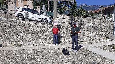 Voci nel Bosco